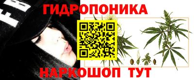 синтетический гашиш Северобайкальск