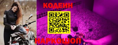 apvp Свободный