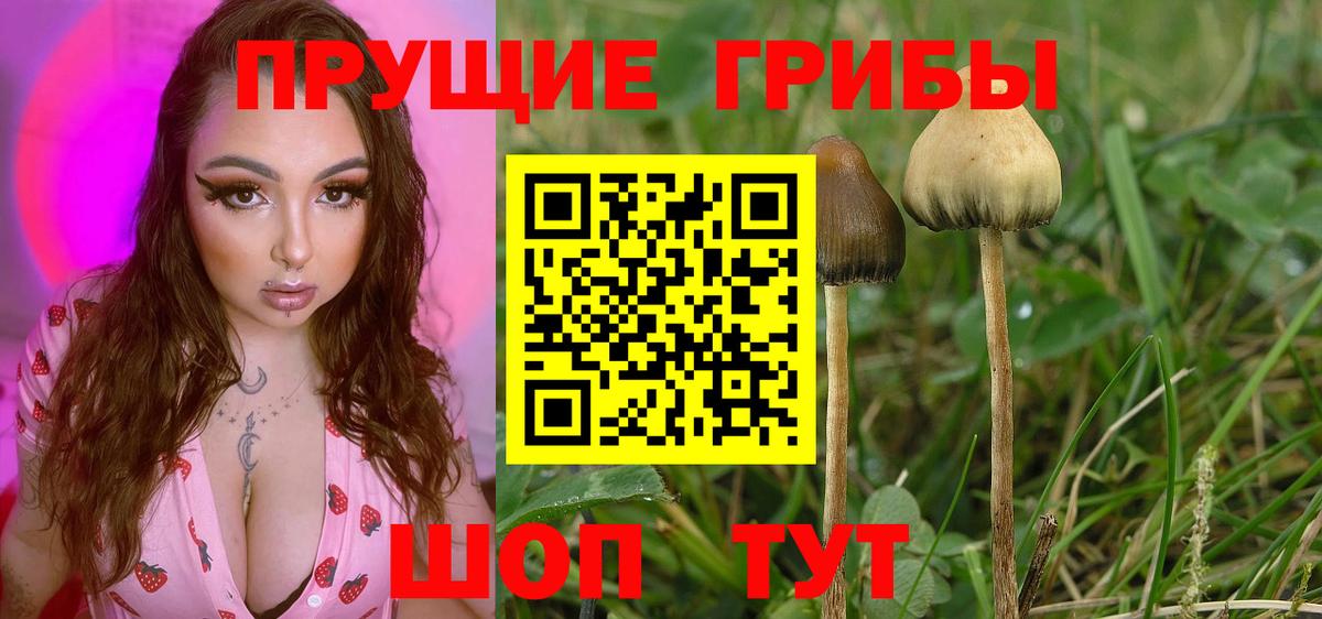 Галлюциногенные грибы мицелий  Галлюциногенные грибы мицелий  Омск  Вход с VPN 